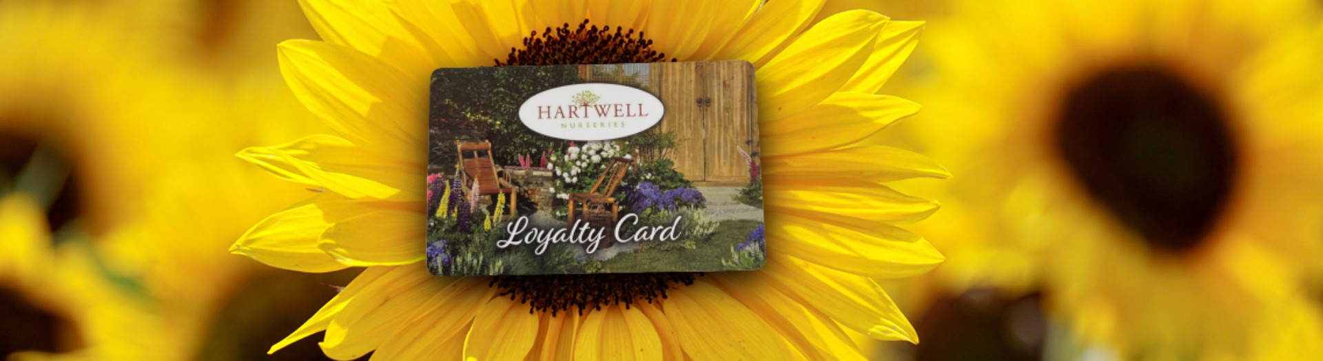 Hartwell Loyalty Card