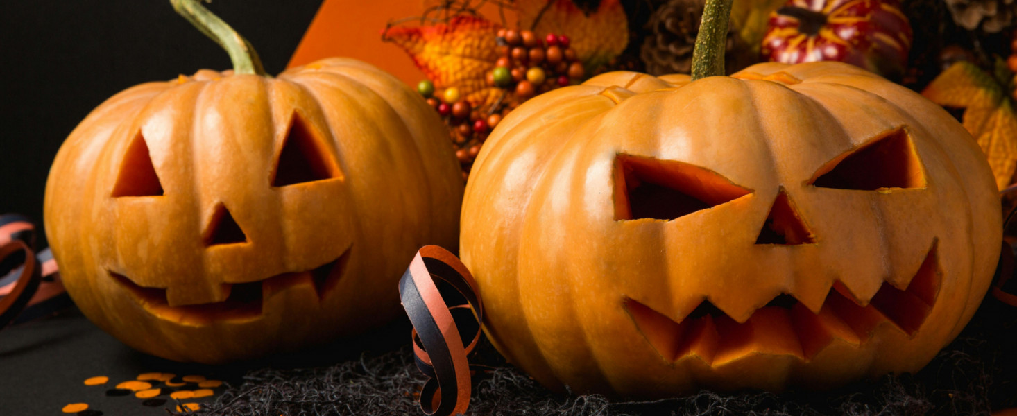 Halloween- Mr Worzel's Pumpkin Farm and Adventure Trail