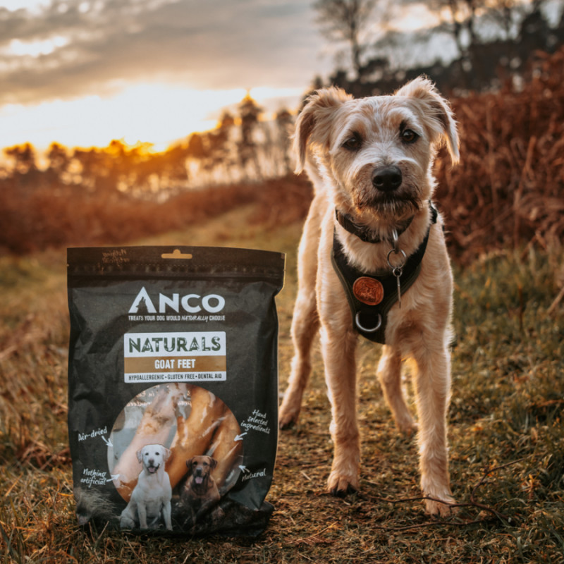 Anco Naturals Goat Feet 3pk photo