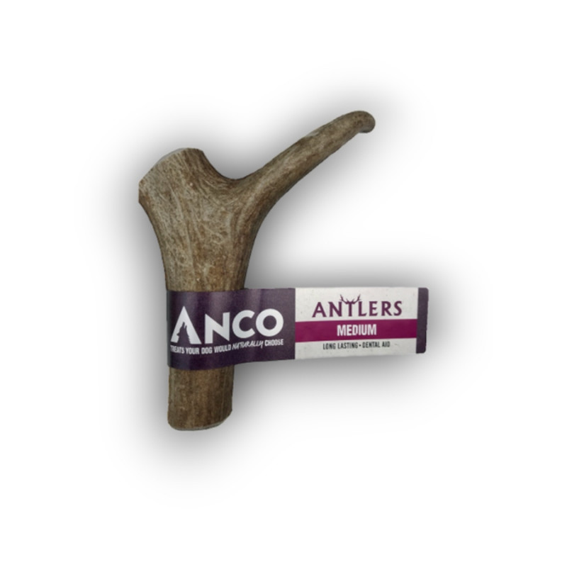 Anco Anco Antlers Medium